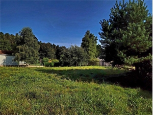 terrain à la vente -   67420  SAALES, surface 1352 m2 vente terrain - UBI483970874